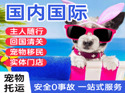 深圳空运代理国际宠物托运 【国